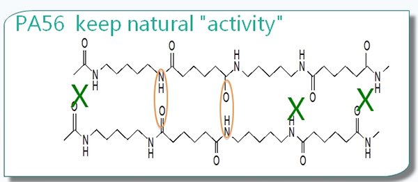 Natural Activity 2