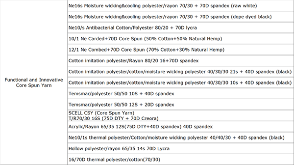 Functional and special core spun yarns