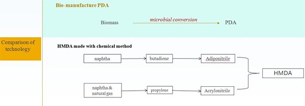 Monomer Synthesis Route