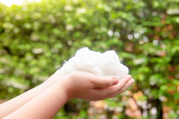 Ocean Plastic Pollution