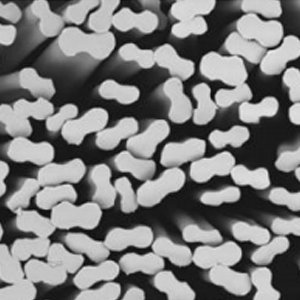 wool hand feeling, cationic polyester spun yarn